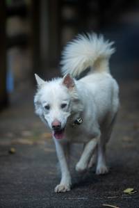 BIB: 
                            <button type="button" onclick="openModal(21805625)" class="btn btn-primary btn-sm float-right btn-popup" data-toggle="modal" data-target=".modal-high-quality">
                        <i class="fas fa-shopping-cart"></i> Add to Cart
                    </button>
                                            <button type="button" onclick="isThisMe(21805625, true)" class="btn btn-success btn-sm float-right btn-popup btn-isme hidden" data-toggle="tooltip" data-placement="bottom" title="นี่คือรูปของคุณใช่ไหม คลิกที่นี่เพื่อเอาเข้าอัลบั้ม">
                        <i class="fas fa-plus"></i> Add to album
                    </button>
                    <button type="button" onclick="isThisMe(21805625, false)" class="btn btn-warning btn-sm float-right btn-popup btn-isnotme hidden">
                        <i class="fas fa-ban"></i> Remove from album
                    </button>